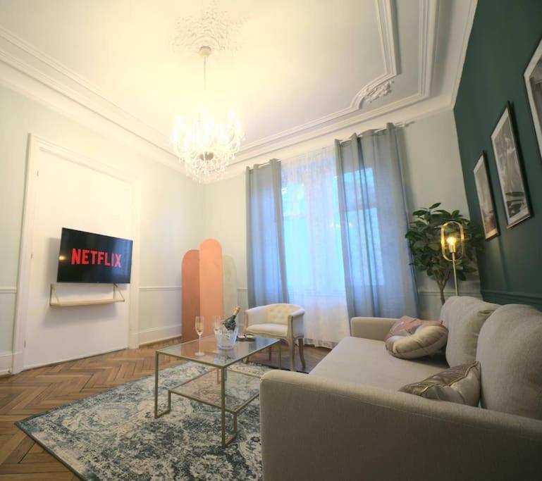 Royal Room Jacuzzi Haut De Gamme Centre Ville Mulhouse Buitenkant foto