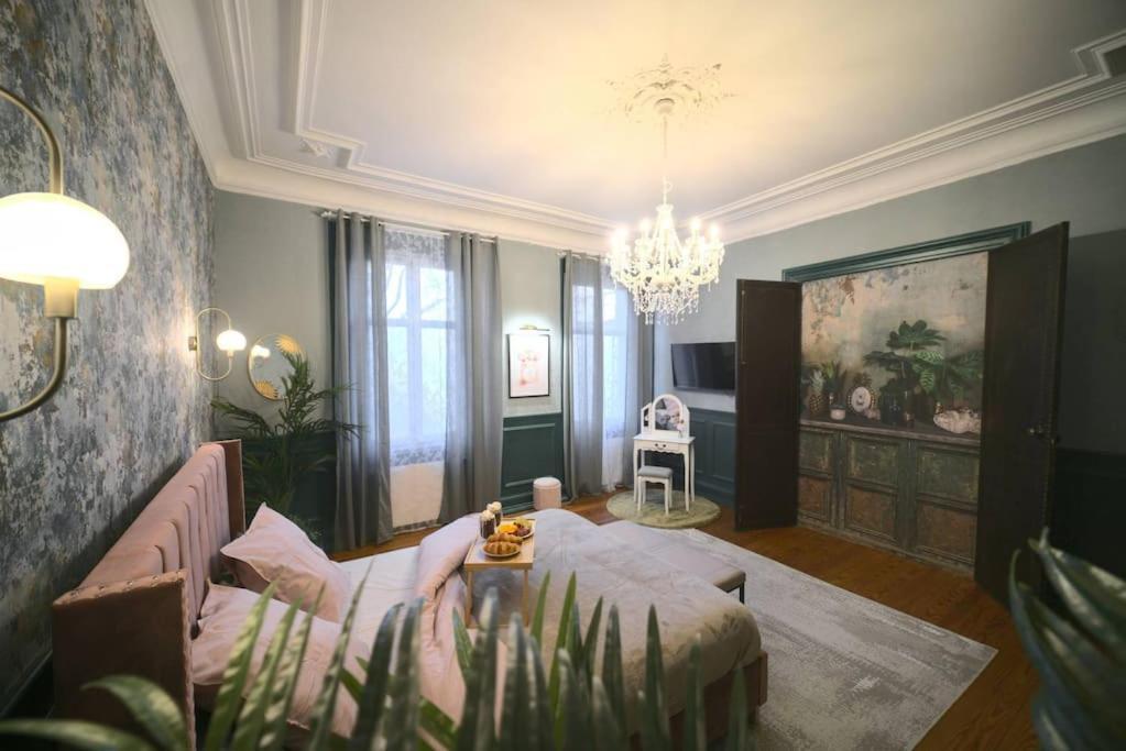 Royal Room Jacuzzi Haut De Gamme Centre Ville Mulhouse Buitenkant foto