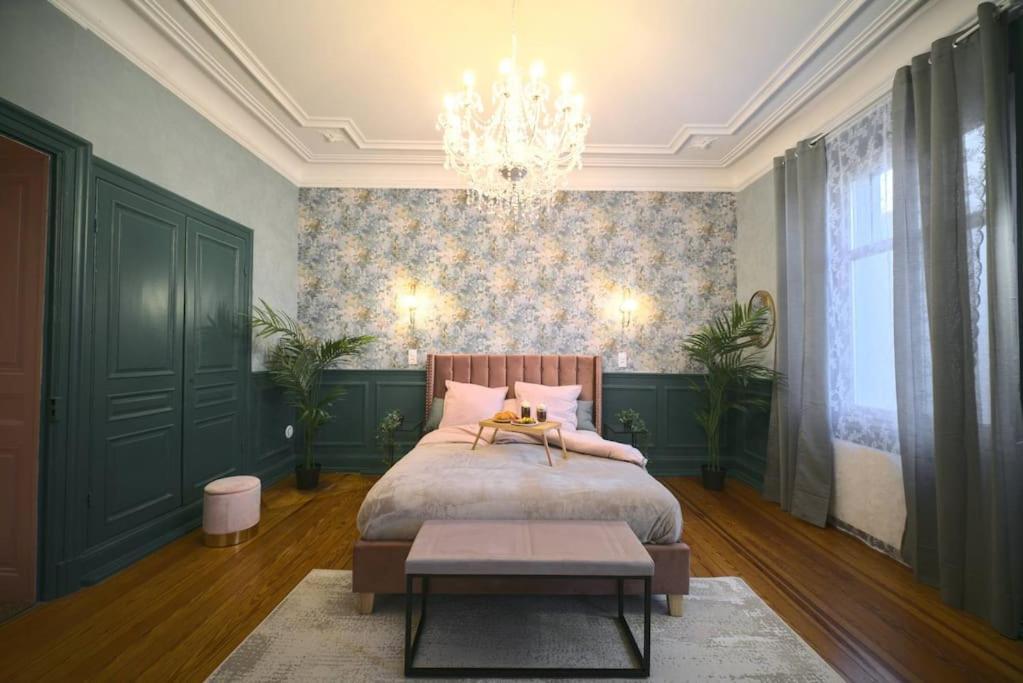 Royal Room Jacuzzi Haut De Gamme Centre Ville Mulhouse Buitenkant foto